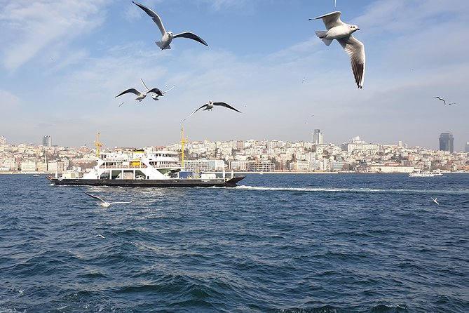 Istanbul Private Guided Tour for Layover Flight. Transfer incl. - Crossing to Asia on the Bosphorus