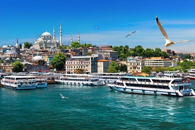 Istanbul Private Tour from Cruise Port - Dinner, wine, and the Turkish floor show