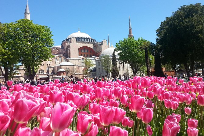Istanbul Private Tours: 1, 2 or 3 Day Highlights - Dolmabahçe Palace and two Ottoman mosques