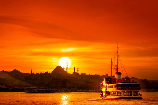 Istanbul Private Transfer from City Hotels to Cruise port - What the vehicles and drivers are like