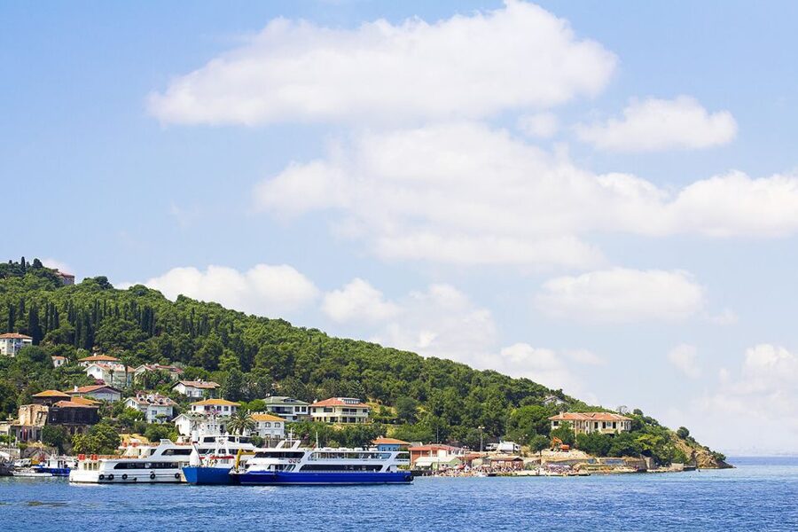 Istanbul: Round-Trip Ferry Tickets to the Princes' Islands - Quick facts about the Büyükada ferry day