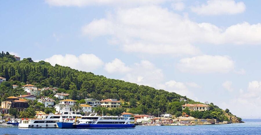 Istanbul: Round-Trip Ferry Tickets to the Princes' Islands - Walking, cycling, and choosing your route