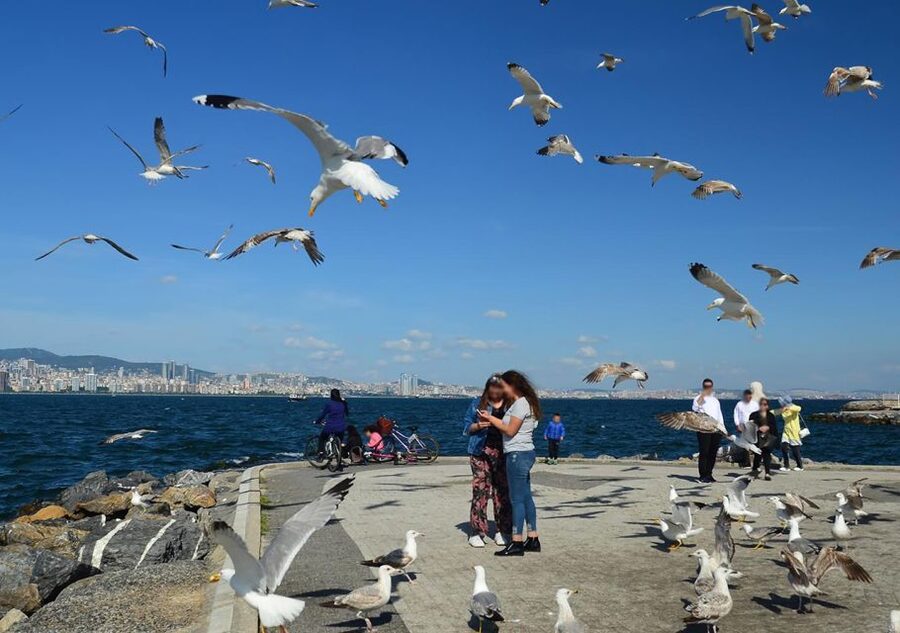 Istanbul: Round-Trip Ferry Tickets to the Princes' Islands - St. George Church and the highest hill