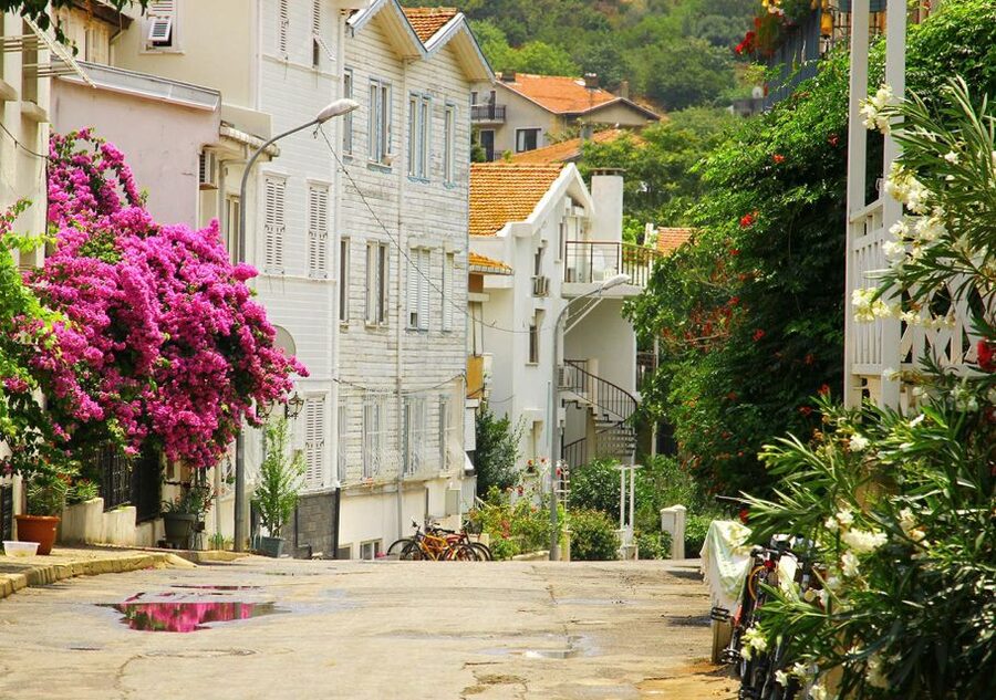 Istanbul: Round-Trip Ferry Tickets to the Princes' Islands - Is $11 good value?