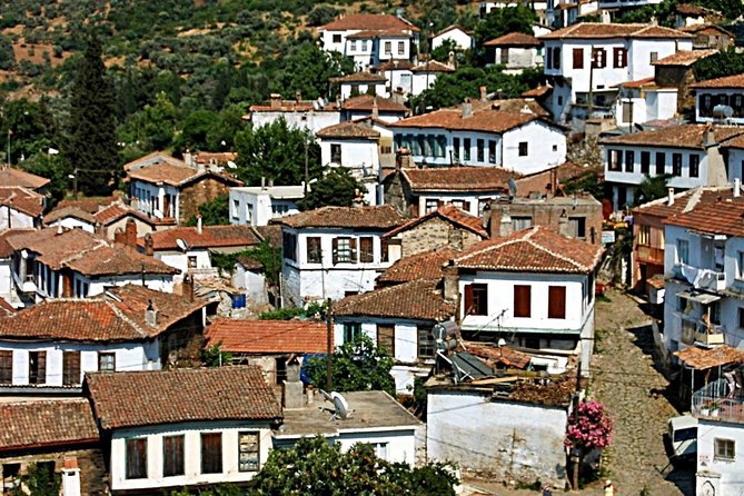 Istanbul to Ephesus Full Day Guided Tour, Flight and Lunch incl. - The Temple of Artemis is brief but historically important