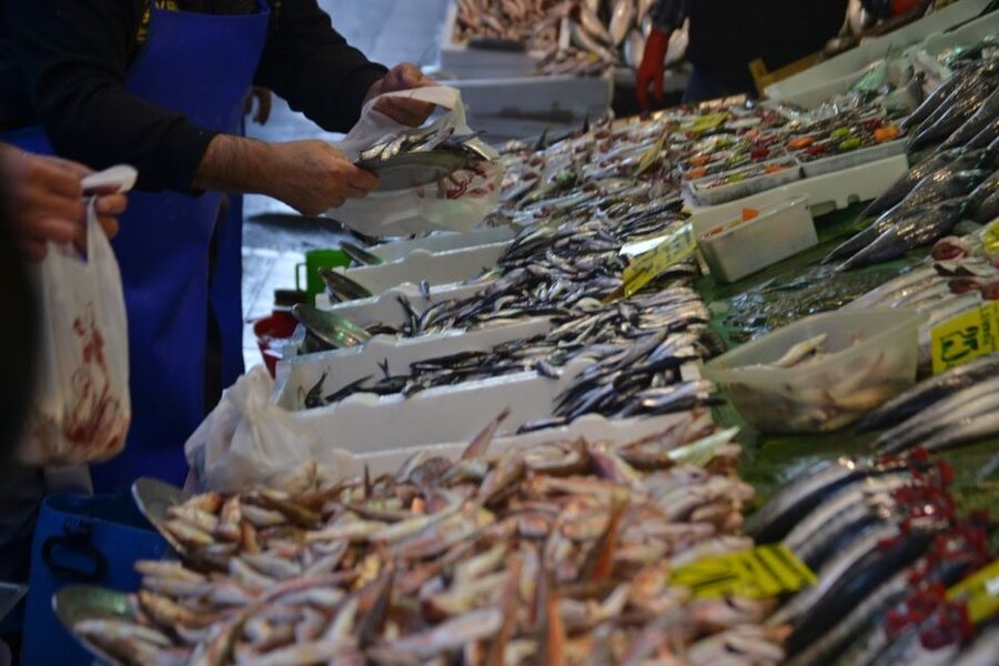 Istanbul: Turkish Food Tour in Kadikoy Across the Bosphorus - Timing, pace, and the problem of eating too much