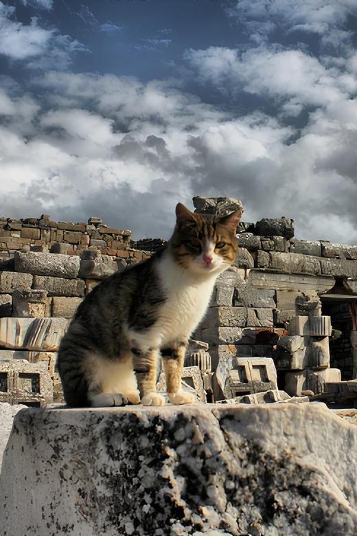Izmir : Ephesus and Sirince Guided Tour - Key points to know before booking