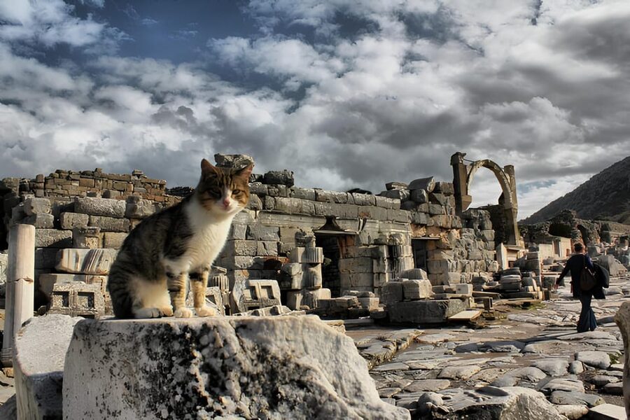 Izmir : Ephesus and Sirince Guided Tour - Why this Izmir to Ephesus tour works