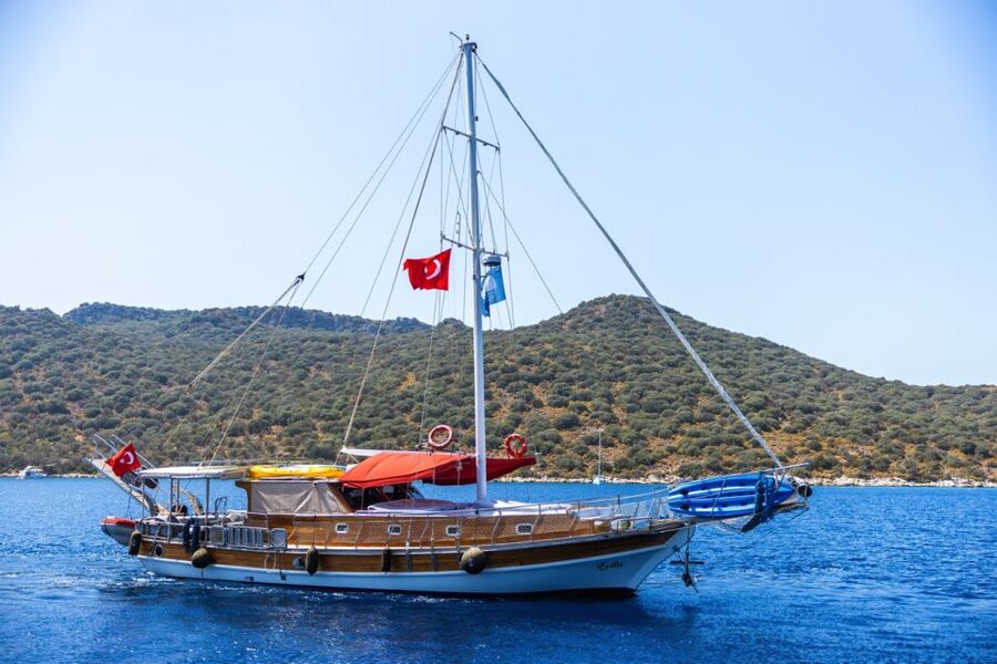 Kas: Limanagzi Beach & Island-Hopping Boat Tour with Lunch - Pigeon Island: tank, shark statue, and fish