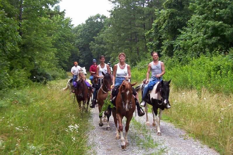 Kemer Horse Safari, pick up from Kiris, Beldibi, Goynuk - What the $47 price buys you