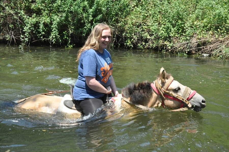 Kemer Horse Safari, pick up from Kiris, Beldibi, Goynuk - Meeting the horses and learning the basics