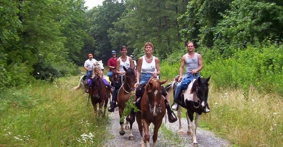 Kemer Horse Safari, pick up from Kiris, Beldibi, Goynuk - One hour through the Kemer pine forest