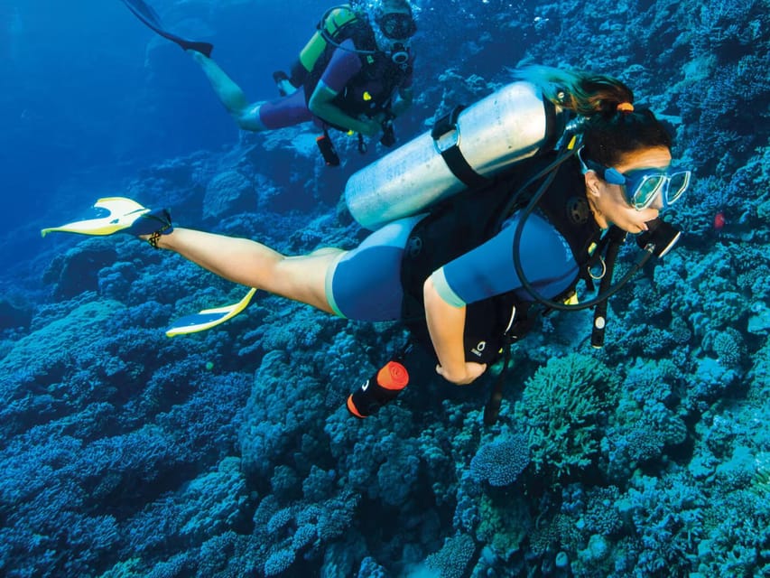 Kemer Scuba Diving with Expert Diving Option - What the $35 Price Really Buys