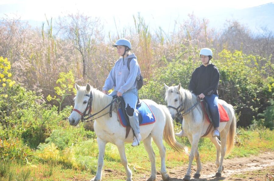 Kusadasi: Beach and Forest Horse Riding Tour - Key details before you book
