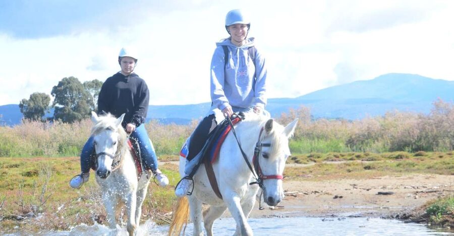 Kusadasi: Beach and Forest Horse Riding Tour - From Kusadasi hotels to the safari park
