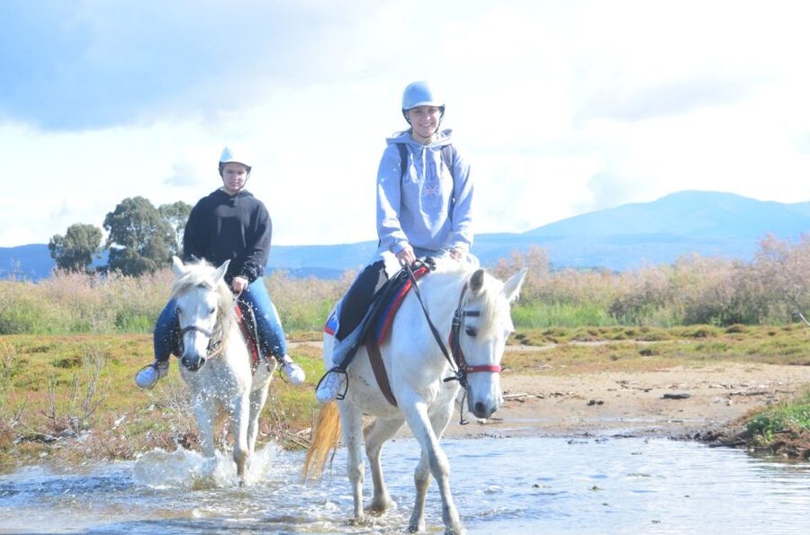 Kusadasi: Beach and Forest Horse Riding Tour - Meeting the horses and learning the basics