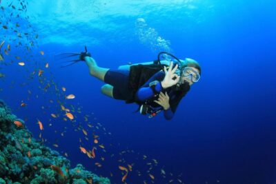 Diving Experience with Lunch and Transfer