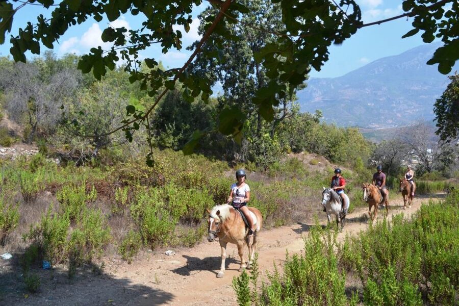 Kusadasi: Horse Riding Beach and Forest w/Transfer - Leaving Kusadasi for the pine forests