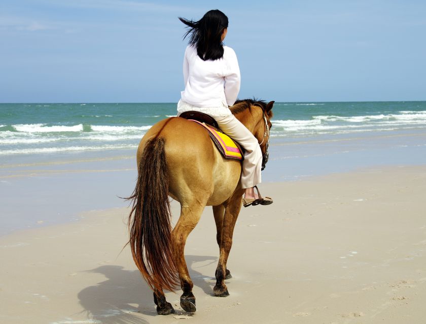 Kusadasi: Horse Riding Beach and Forest w/Transfer - Riding through forest and orange groves