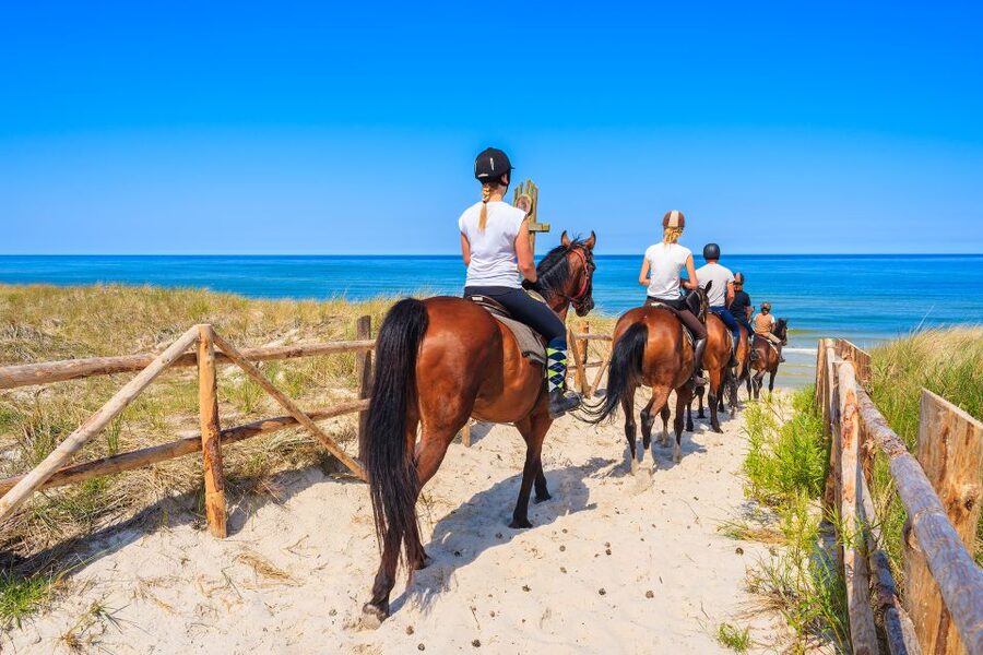 Kusadasi: Horse Riding Beach and Forest w/Transfer - The beach section and the confusing part of the itinerary