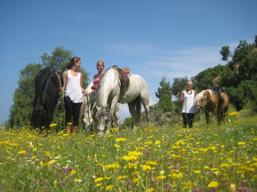 Kusadasi: Horse Riding Beach and Forest w/Transfer - Is $65 good value?