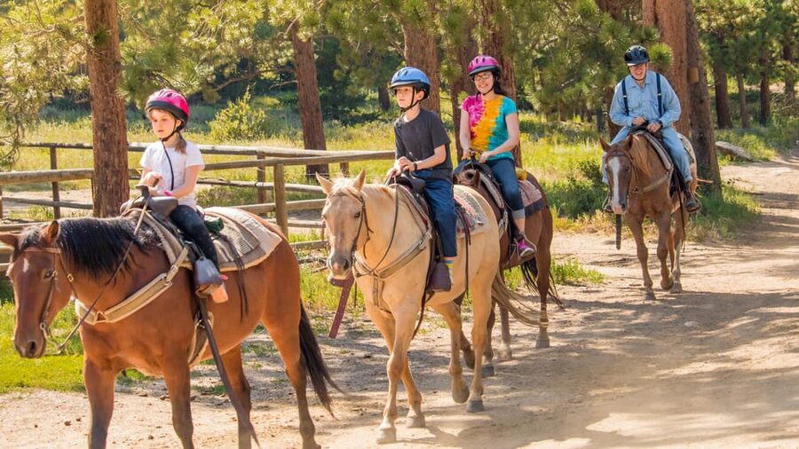 Kusadasi: Horse Riding Beach and Forest w/Transfer - Meeting your horse at the ranch