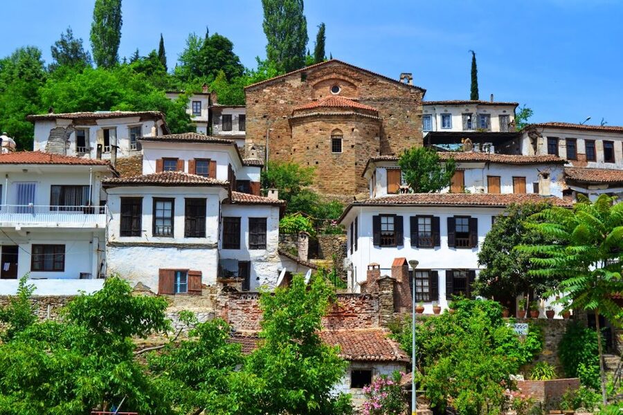 Kusadasi or Selcuk: Full-Day Ephesus Tour with Lunch - The Temple of Artemis and what remains