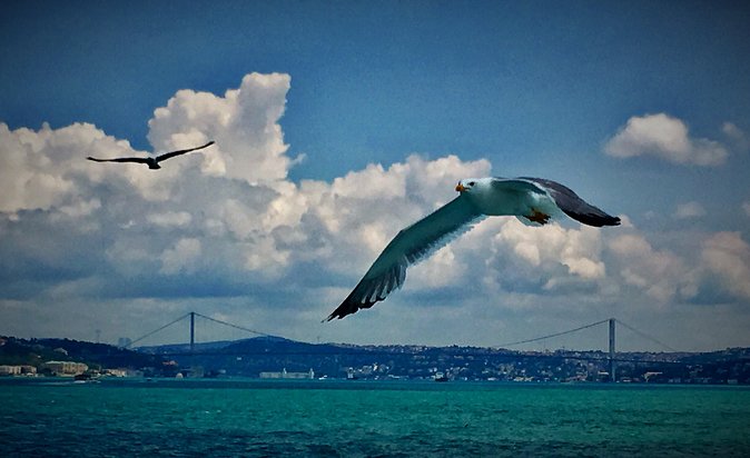 Luxury Private and Guided Istanbul Food Tour with a local guide - Starting with a full Turkish breakfast on Bagdat Street