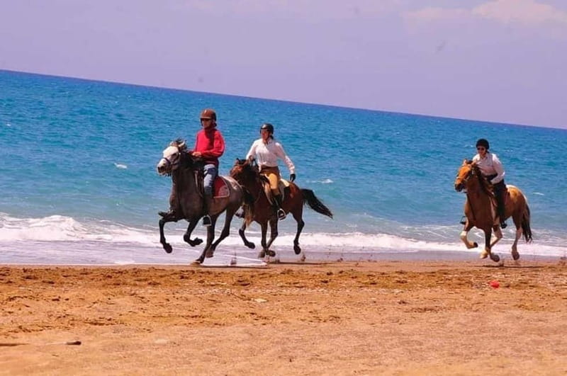 Manavgat Side: Horse Riding on the Beach and in the Forest - What the $58 price really gets you