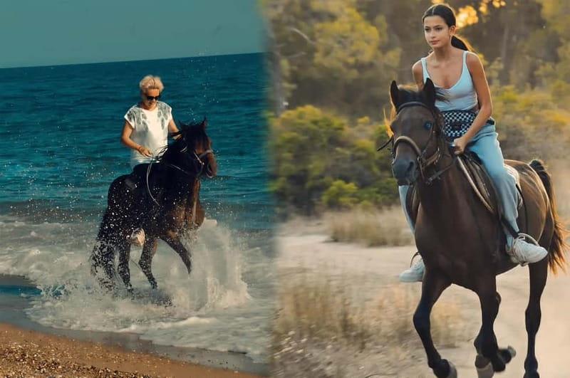 Manavgat Side: Horse Riding on the Beach and in the Forest - Horse care deserves your attention