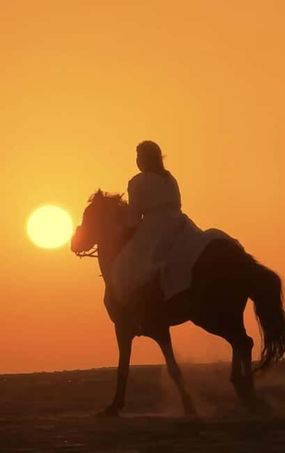 Manavgat Side: Horse Riding on the Beach and in the Forest - Who will enjoy this ride most?