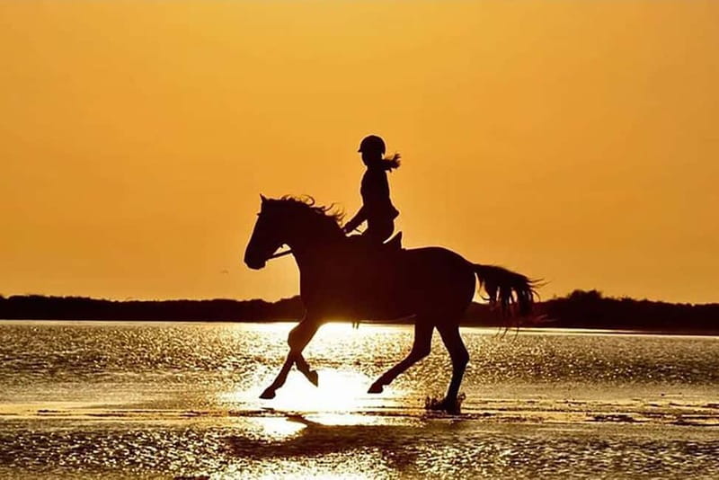 Manavgat Side: Horse Riding on the Beach and in the Forest - Hotel pickup keeps the morning easy