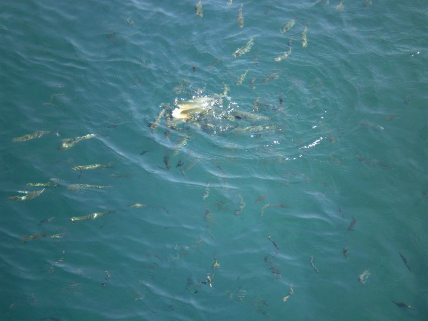 Marmaris Full-Day Boat Trip with Unlimited Soft Drinks+Lunch - Exploring the nearby cave