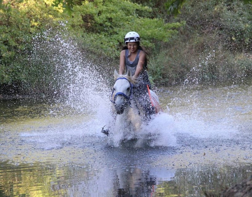 Marmaris: Horse Riding Experience with Hotel Transfers - Should you book the Marmaris horse ride?