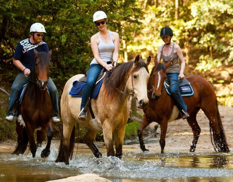 Marmaris: Horse Riding Experience with Hotel Transfers - How to make the day run better