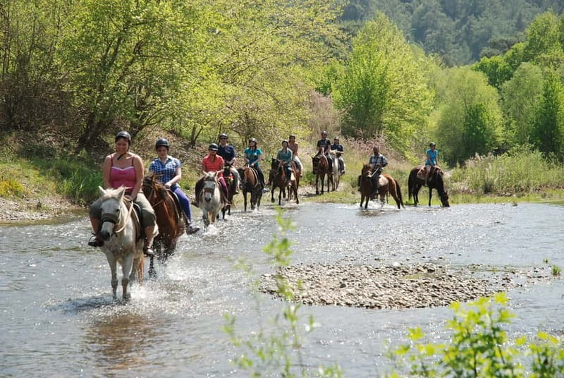 Marmaris: Horse Riding Experience with Transfer - Key points to know before you book