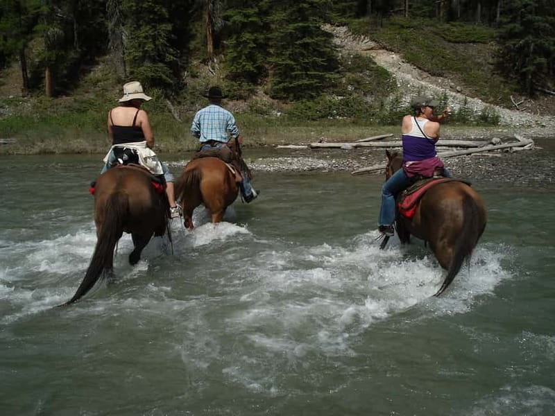 Marmaris: Horse Riding Experience with Transfer - Riding through pine forest and orange groves