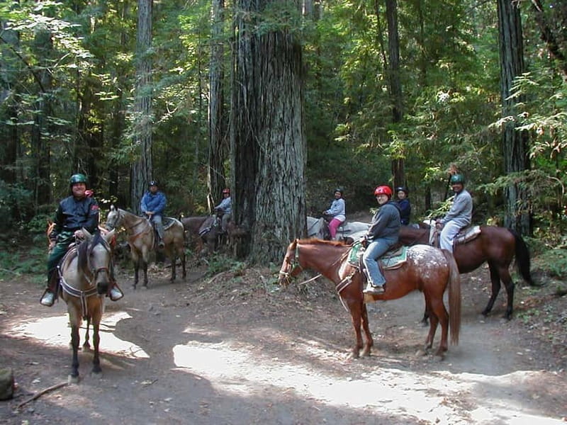 Marmaris: Horse Riding Experience with Transfer - Family appeal, with a few limits