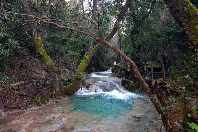 Marmaris: Jeep Safari, Turgut Waterfall, Jesus Beach w/Lunch - Pine forests, sheep, goats, and wide Marmaris views