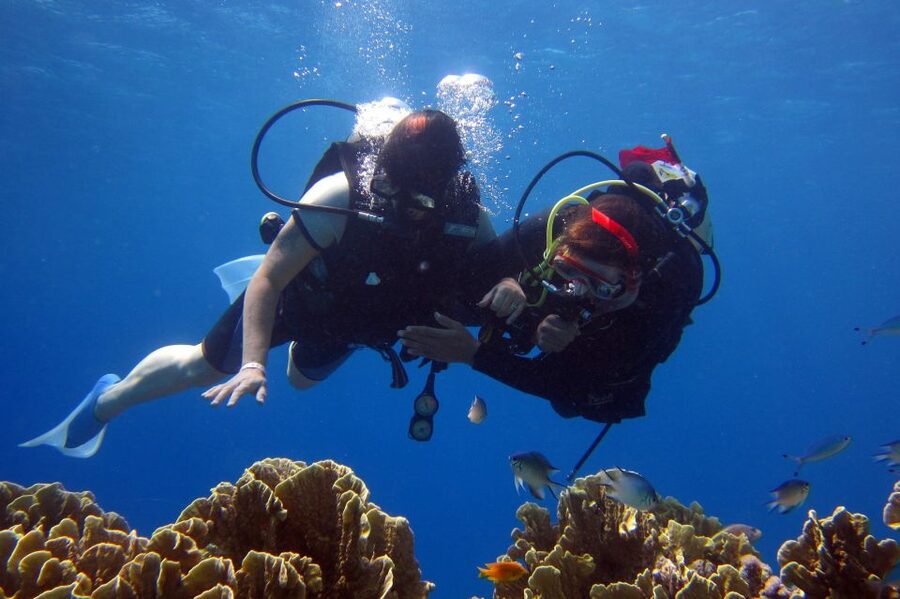Marmaris: Scuba Diving Experience with 2 Dives and Lunch - Marmaris Scuba Experience: Key Points to Know