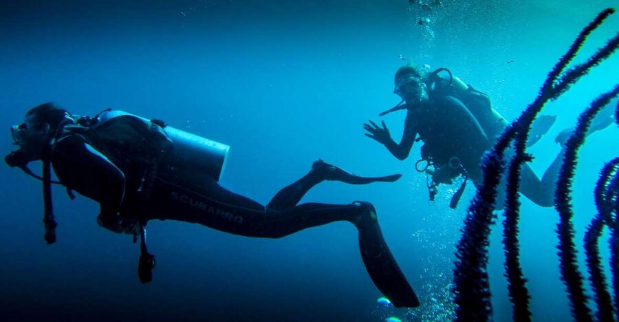 Marmaris: Scuba Diving Experience with 2 Dives and Lunch - What This Marmaris Boat Day Actually Feels Like