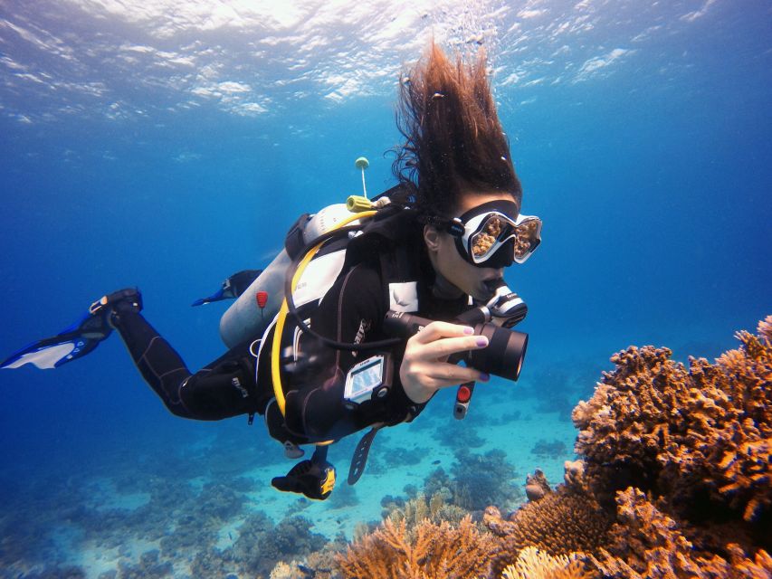 Marmaris: Scuba Diving Experience with 2 Dives and Lunch - Who Should Book This Underwater Tour?