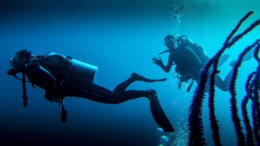 Marmaris: Scuba Diving Experience with 2 Dives and Lunch - Training First, Then a Short 10-Minute Introduction