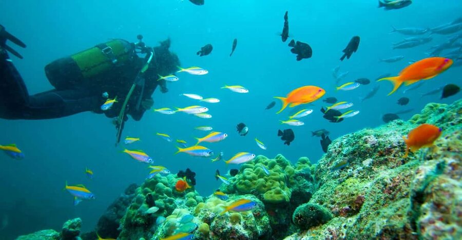 Marmaris: Scuba Diving with a Qualified Instructor - Key points to know before booking