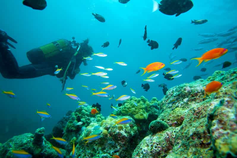 Marmaris: Scuba Diving with a Qualified Instructor - A full day on the Marmaris water