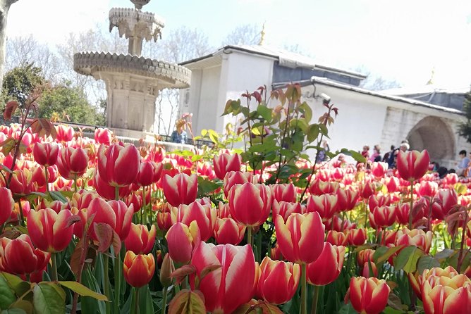 Most famous sites of Istanbul - Why this walking route works for a first day