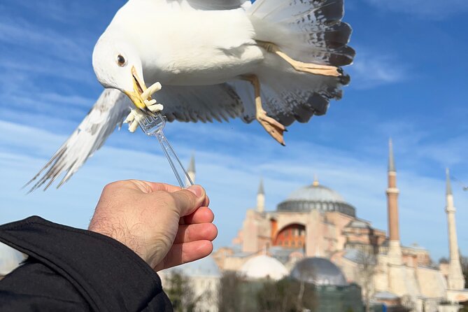 Multi 2 Days Private Guided Istanbul Iconic Landmarks City Tour - Galata Tower and the Bosphorus
