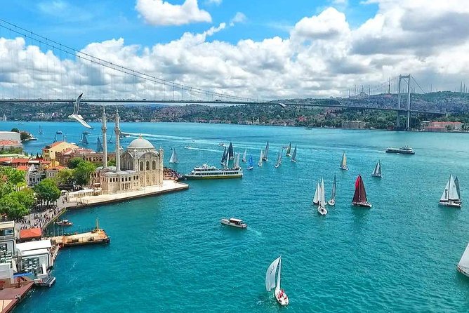 Panoramic City Tour with Bosphorus Strait Sightseeing Cruise - What this half-day Istanbul tour is really designed to do