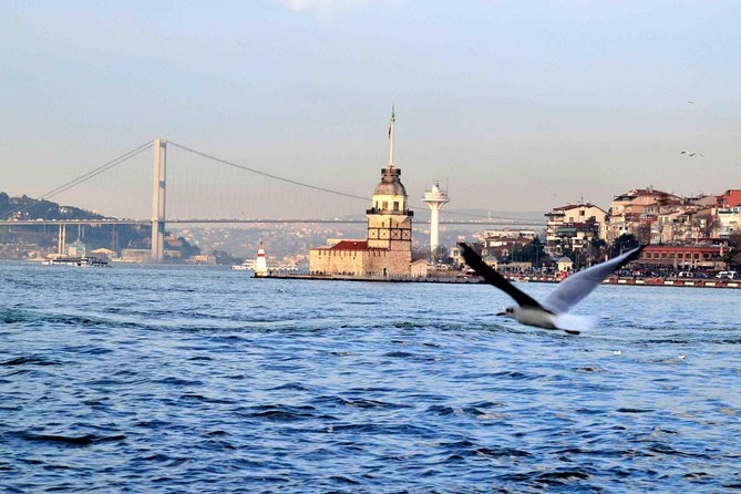 Panoramic City Tour with Bosphorus Strait Sightseeing Cruise - The transport and organization trade-off
