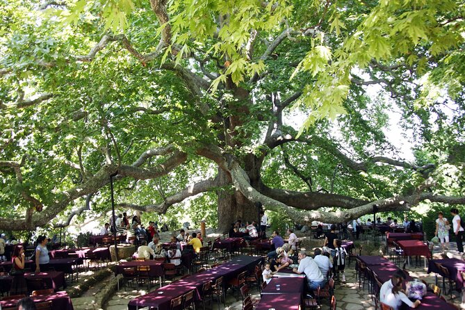 Premium Bursa and Uludag Tour - (Breakfast-Lunch Included) - Crossing Izmit Gulf by ferry